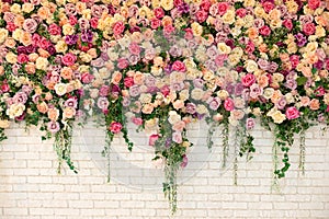 Beautiful decorative colorful roses and peonies on brick white wall. Interior wedding party decor.