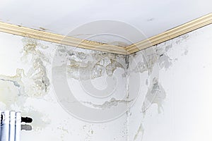 Wall damp from excessive rain, problems of infiltration and mold on the wall of the house