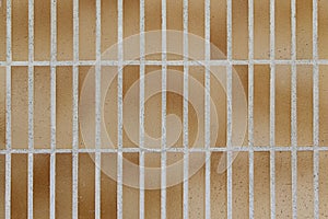 Wall decorated with bricks