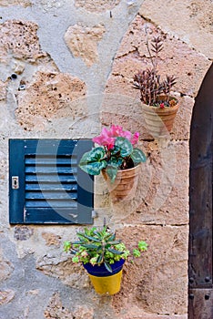 Wall decorated with flower pots