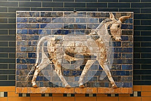 Wall decoration from Ishtar Gate in Istanbul Archaeology Museum, Turkey