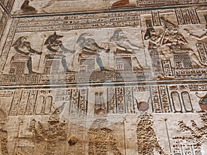Wall in Dendera Temple of Hathor