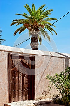 Wall and door next to a palm tree in the middle of the sun in the gardens of Menara.