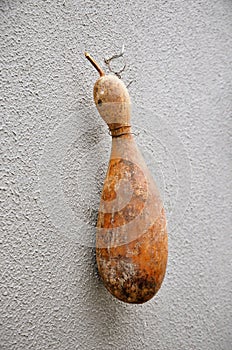 A dried Lagenaria siceraria hanging decorating backyard photo