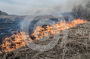Wall of fire burns dry grass