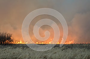 Wall of fire burns dry grass