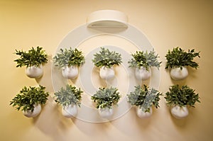 Wall flowers decoration