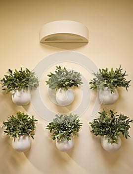 Wall flowers decoration