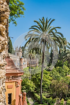 Wall and Gallery of Grutesques in perspective and Garden next garden with palm trees of the Real AlcazÃÂ¡r of Seville SPAIN photo