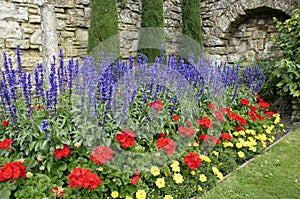 Wall garden