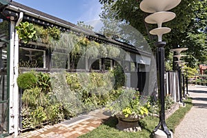 Wall garden in the Tivoli Gardens Copenhagen