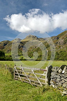 Wall in Great Langdale