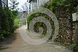 the wall and green mos looking and feels refreshed and relaxing at Monjam Chiangmai Thailand