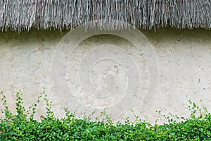 Wall with green plants