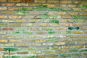 Wall with greenish bricks photo