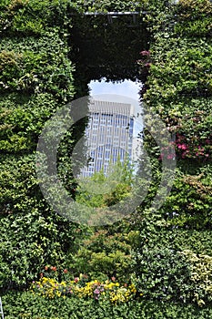 Wall of Hope the green monument from Umeda Sky Tower Garden from Osaka City in Japan