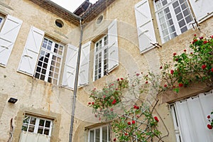 The wall of the house, entwined with roses in Lautrec, France in summe
