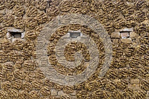 The wall of the house is made of dung in India