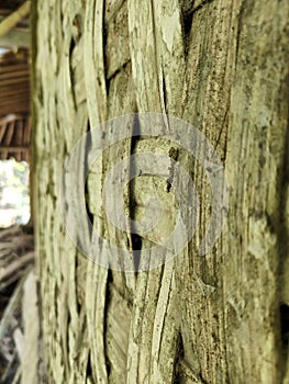 A wall of a house made of old thinned woven bamboo