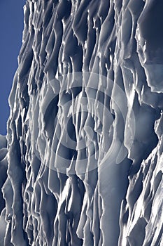 Wall of ice - Brown Bluff - Antarctica photo