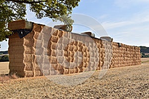 A wall of large stacked hay bales