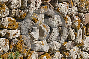 Wall and Lichen