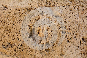 A wall of limestone background