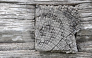 Wall of log house