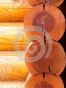 Wall of logs photo