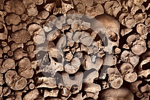 Skulls and bones in a wall