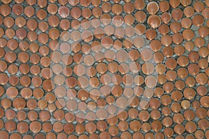 Wall made of sea shells.