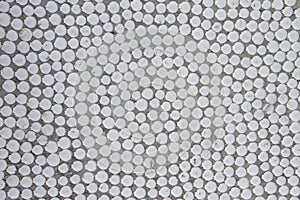 Wall made of sea shells.