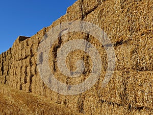 Wall made of stacked hay bales on a field. Summer farm scenery.