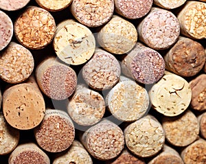 Wall of many different wine corks. Closeup of wine corks. Close up of cork wine.