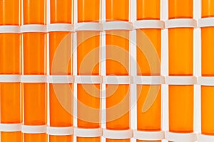 Wall of Medicine Bottles