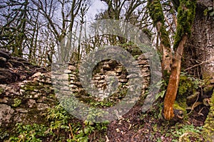 The wall of medieval Khosta fortress in Yew-boxwood grove in spring in Sochi city, Russia