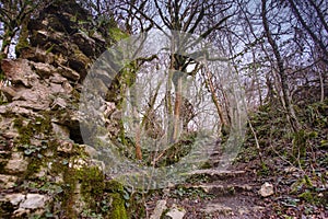 The wall of medieval Khosta fortress in Yew-boxwood grove in spring in Sochi city, Russia