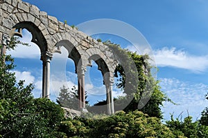 Wall of the mesmerizing Hammon Castle with beautiful arches surrounded by plants and vegetation photo