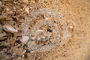 The wall is a mesmerizing mosaic of colored rocks, each stone contributing its unique hue to the vibrant tableau. photo
