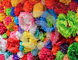 A wall of Mexican Paper Flowers photo