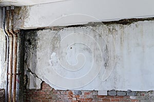 Wall with mildew