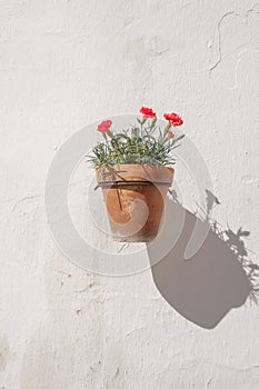 Wall mounted flower pot.