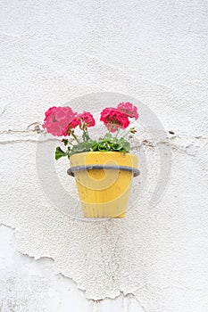 Wall mounted flower pot.