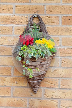 Wall mounted hanging basket with spring flowers