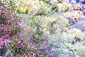 Wall of multicolored flowers in the flower shop photo