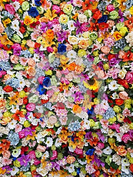 Wall of multicolored flowers with rose tulipan margaritas photo