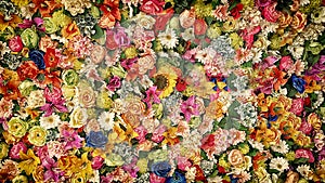 Wall of multicolored flowers with rose tulipan margaritas photo