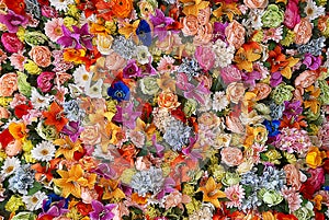 Wall of multicolored flowers with rose tulipan margaritas photo