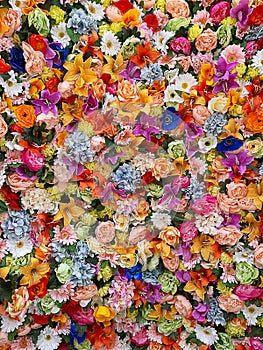 Muro de multicolor flores con una rosa 