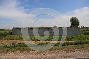 Wall with nest for Swamps in the Groen Blauwe zone in Moordrecht